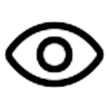 Plain sight icon